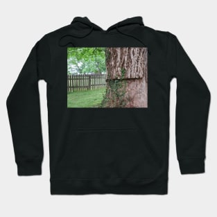 A tree and a fence Hoodie